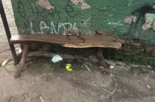 Violência no DF: em plena luz do dia executam homem a tiros e arrastam corpo até córrego