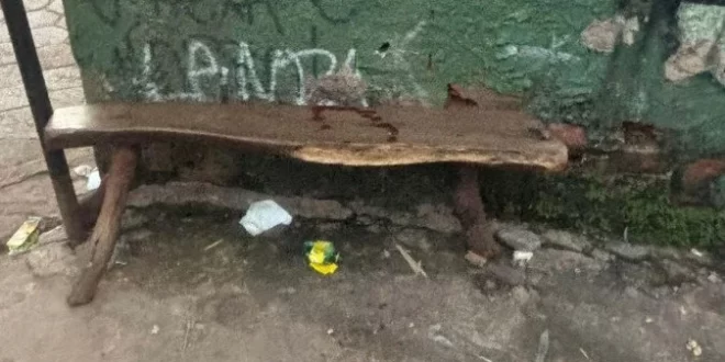Violência no DF: em plena luz do dia executam homem a tiros e arrastam corpo até córrego
