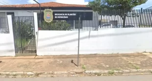 Pode rir: gemidos de sexo são confundidos com gritos de socorro e parceiro da mulher vai em cana