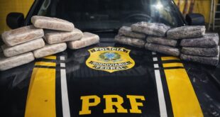 Drogas em Rio Branco: PRF apreende 8,1 quilos de skunk escondidos em latas de massa corrida