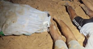 Drogas no Acre: GEFRON apreende um menor e 5 kg de maconha no interior