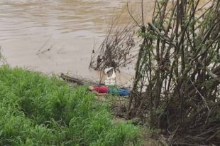 Violência em Rio Branco: perito criminal é encontrado morto com tiro na cabeça sob ponte