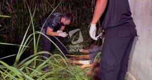 Violência em Rio Branco: trabalhadores são sequestrados e executados em área de mata
