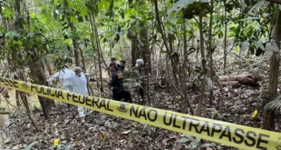 Estudo do Fórum Brasileiro de Segurança Pública mostra que facções como CV e PCC transformaram crimes ambientais em eixo estratégico