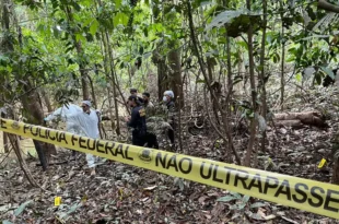 Estudo do Fórum Brasileiro de Segurança Pública mostra que facções como CV e PCC transformaram crimes ambientais em eixo estratégico