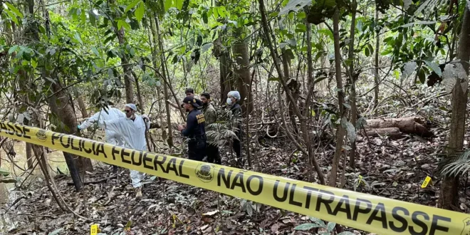 Estudo do Fórum Brasileiro de Segurança Pública mostra que facções como CV e PCC transformaram crimes ambientais em eixo estratégico