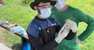 Acre atinge 94,2% de cobertura e vira destaque nacional na vacinação contra a brucelose