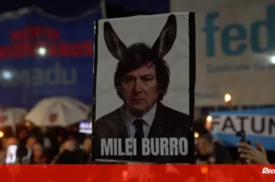 O burro nosso de cada dia