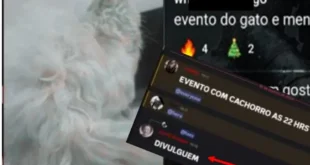 Se for sensível não leia: extremistas usam Discord para ganhar dinheiro torturando e sacrificando animais de estimação