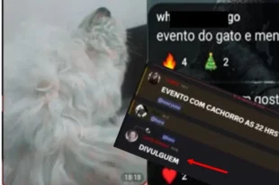 Se for sensível não leia: extremistas usam Discord para ganhar dinheiro torturando e sacrificando animais de estimação