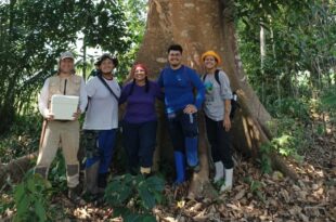 Pesquisa destaca potencial dos sistemas agroflorestais na recuperação da biodiversidade no Acre