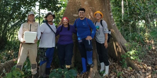 Pesquisa destaca potencial dos sistemas agroflorestais na recuperação da biodiversidade no Acre