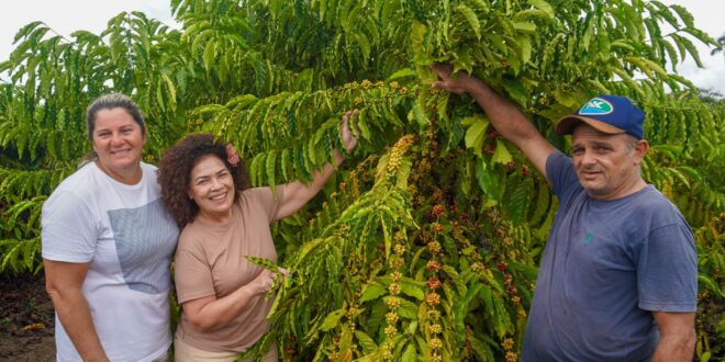 Programa da ABDI eleva renda de cafeicultores em 80% e impulsiona inclusão social no Vale do Juruá