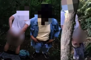 Sexo explícito no maior parque de Curitiba mobiliza autoridades
