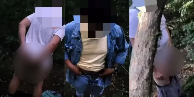 Sexo explícito no maior parque de Curitiba mobiliza autoridades