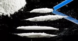 Salmões “dopados”: culpa da cocaína nas águas residuais