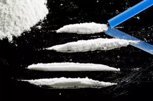 Salmões “dopados”: culpa da cocaína nas águas residuais