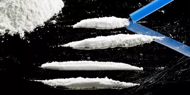 Salmões “dopados”: culpa da cocaína nas águas residuais