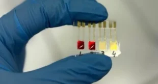 Cientistas brasileiros desenvolvem sensor para diagnóstico precoce de câncer
