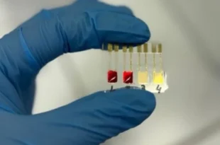 Cientistas brasileiros desenvolvem sensor para diagnóstico precoce de câncer