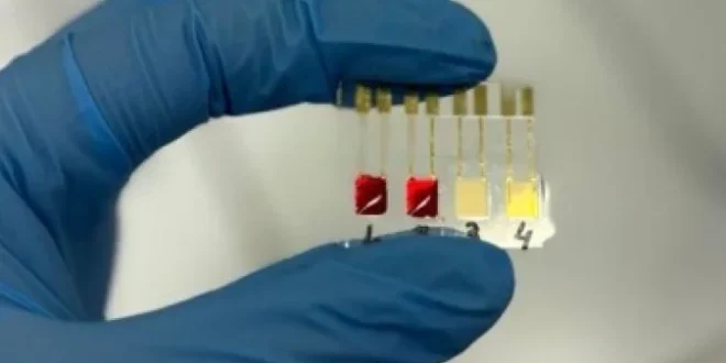 Cientistas brasileiros desenvolvem sensor para diagnóstico precoce de câncer