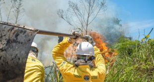 Governo do Acre divulga resultado da homologação das inscrições do processo seletivo para brigadistas comunitários