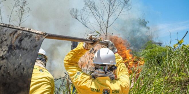 Governo do Acre divulga resultado da homologação das inscrições do processo seletivo para brigadistas comunitários