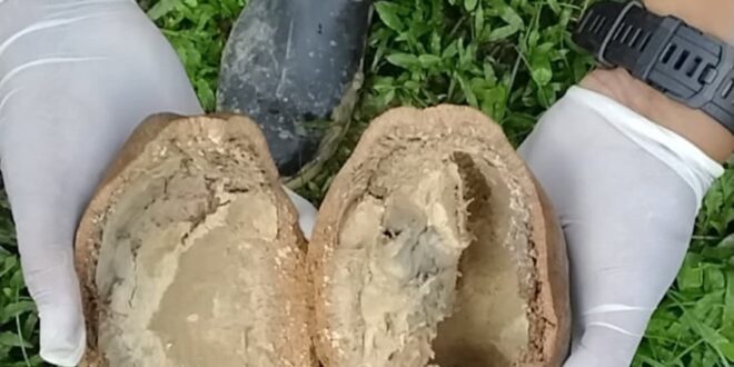 Idaf investiga caso suspeito de monilíase em Marechal Thaumaturgo