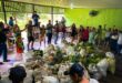Nova proposta do PAA indígena é lançada em Feijó
