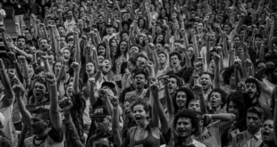 Participação social: a democracia vai muito além do voto