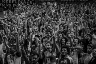Participação social: a democracia vai muito além do voto