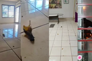 É esse o povo que quer pacificação: sede do PT é atacada com artefato explosivo