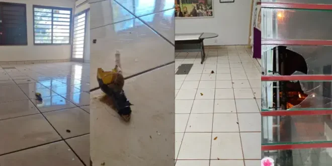 É esse o povo que quer pacificação: sede do PT é atacada com artefato explosivo