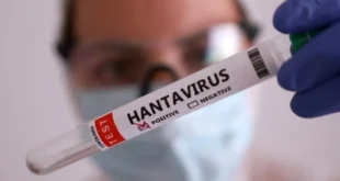 Parece gripe: o risco silencioso do hantavírus no Brasil