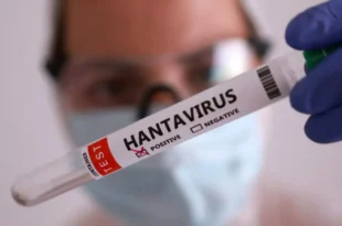 Parece gripe: o risco silencioso do hantavírus no Brasil