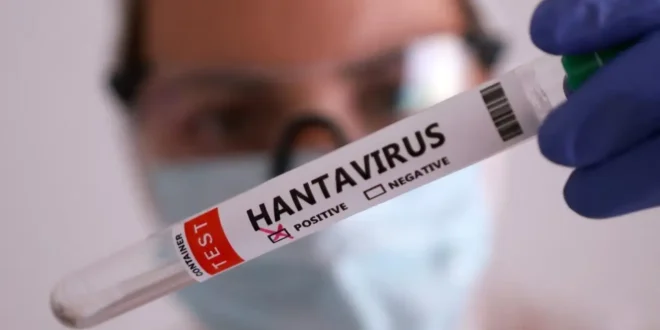 Parece gripe: o risco silencioso do hantavírus no Brasil
