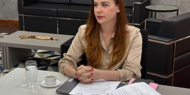 Acre recebe técnica do Ministério da Educação para garantir apoio à vítimas de tragédia no Instituto São José