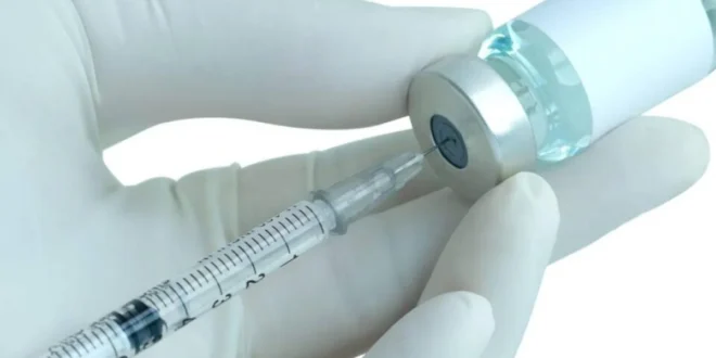 Vacina brasileira contra dengue começa a ser distribuída pelo SUS em 2026