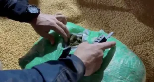 Droga escondida em carga de soja que saiu do Acre é apreendida em Porto Velho- RO