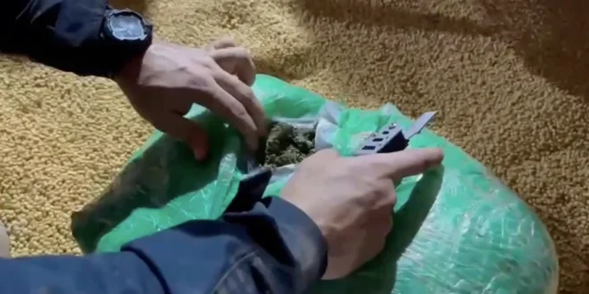Droga escondida em carga de soja que saiu do Acre é apreendida em Porto Velho- RO