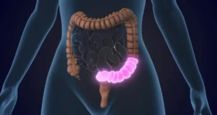 Bem Viver: 4 regras obrigatórias para proteger o intestino ao tomar antibióticos