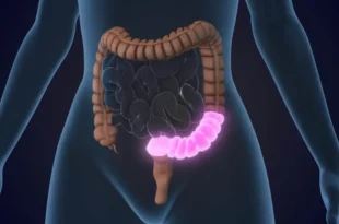 Bem Viver: 4 regras obrigatórias para proteger o intestino ao tomar antibióticos