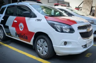 Justiça com as próprias mãos: homem mata, esquarteja agressor sexual e espalha corpo em cidade de SP