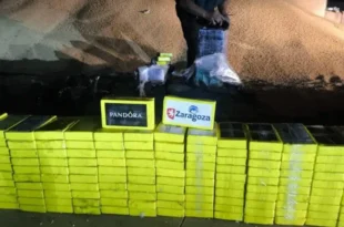 Polícia de Tarcísio é investigada por suspeita de ter escoltado caminhão com 450 quilos de cocaína