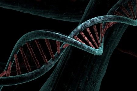 Câncer é hereditário: maior estudo genômico do Brasil revela mutação em 1 a cada 10 pacientes
