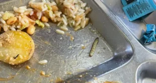 É extrema direita, estúpido: USP, Unicamp e Unesp vivem epidemia de baratas, ratos, vermes e comida podre nos refeitórios