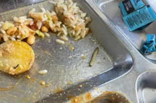 É extrema direita, estúpido: USP, Unicamp e Unesp vivem epidemia de baratas, ratos, vermes e comida podre nos refeitórios