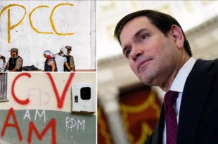 Coluna da Angélica: Conheça a história de Marco Rubio e a falácia dos EUA no combate ao narcoterrorismo