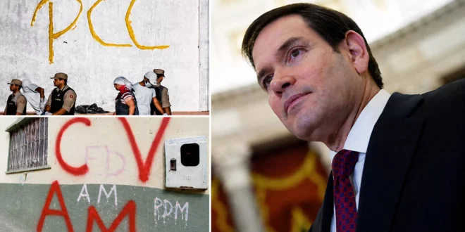 Coluna da Angélica: Conheça a história de Marco Rubio e a falácia dos EUA no combate ao narcoterrorismo