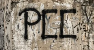 Hamas, Al Qaeda e Antifas: a lista de 94 “grupos terroristas” que Trump vai incluir PCC e CV